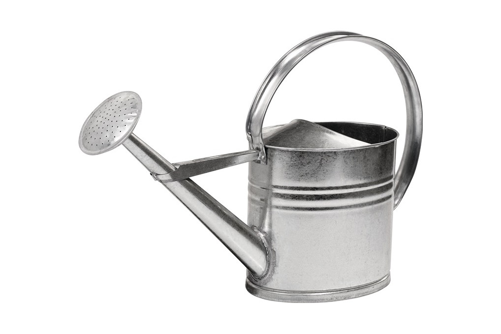Gießkanne 10l silber MET verz. Gießkanne 10l silber MET verz.
