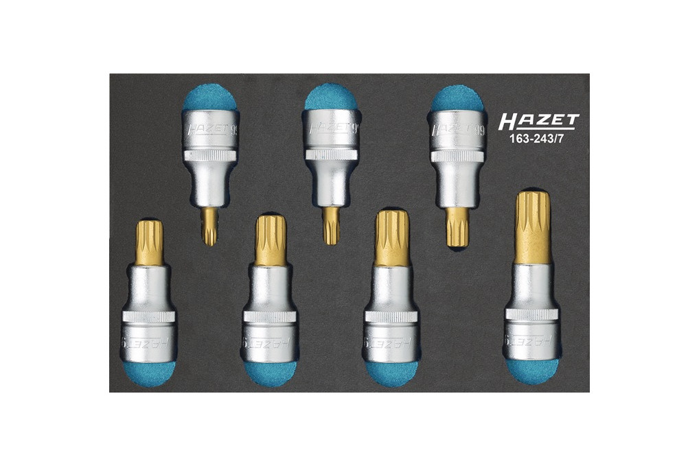 Werkzeugmodul 163 243 7 7 tlg.HAZET Werkzeugmodul 163 243 7 7 tlg.HAZET
