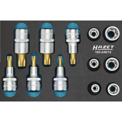 Werkzeugmodul 163 245 12 12 tlg.HAZET Werkzeugmodul 163 245 12 12 tlg.HAZET