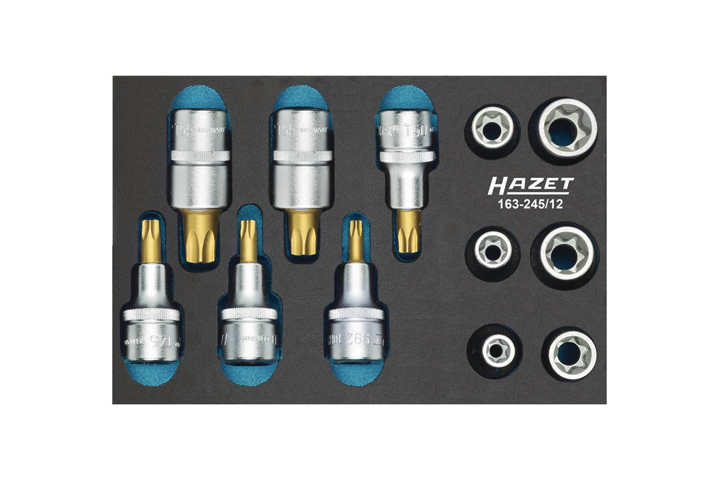 Werkzeugmodul 163 245 12 12 tlg.HAZET Werkzeugmodul 163 245 12 12 tlg.HAZET