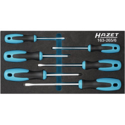 Werkzeugmodul 163 265 6 6 tlg.HAZET Werkzeugmodul 163 265 6 6 tlg.HAZET