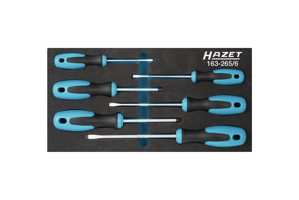 Werkzeugmodul 163 265 6 6 tlg.HAZET Werkzeugmodul 163 265 6 6 tlg.HAZET