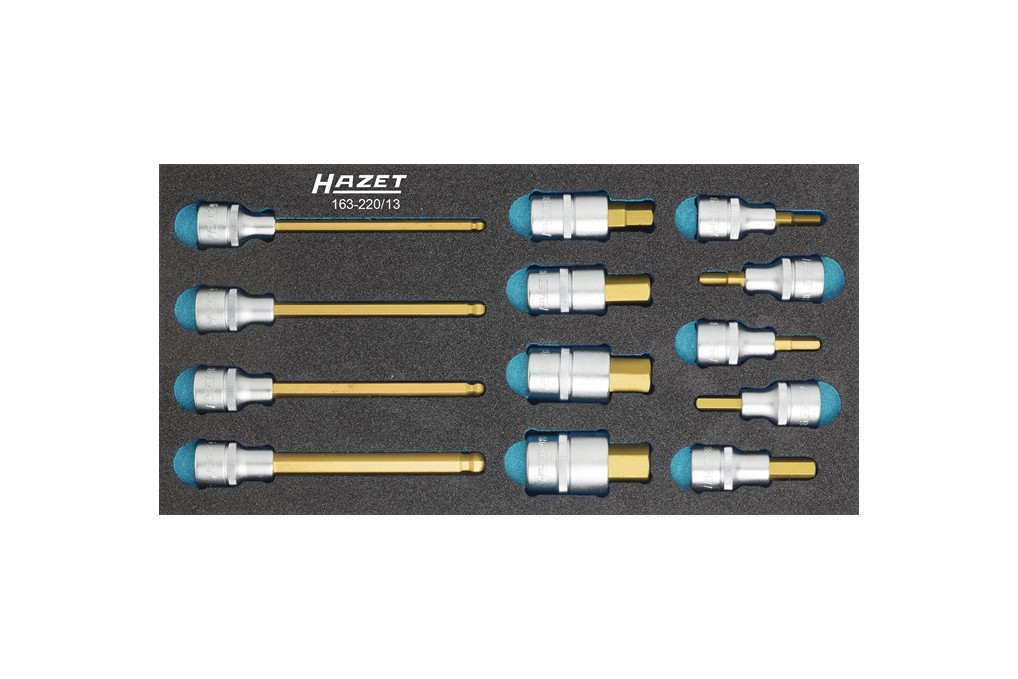 Werkzeugmodul 163 220 13 13 tlg.HAZET Werkzeugmodul 163 220 13 13 tlg.HAZET
