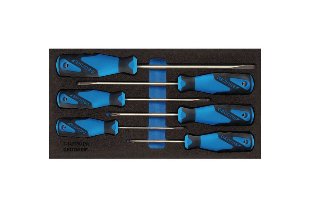 Werkzeugmodul 1500 CT1 2150 PH 6 tlg.1 3 Modul Schlitz PH GEDORE Werkzeugmodul 1500 CT1 2150 PH 6 tlg.1 3 Modul Schlitz PH GEDORE