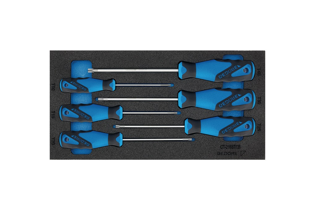 Werkzeugmodul 1500 CT1 2163 TX 6 tlg.1 3 Modul Schraubendreher TORX GEDORE Werkzeugmodul 1500 CT1 2163 TX 6 tlg.1 3 Modul Schraubendreher TORX GEDORE