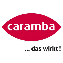 Intensiv Bremsenreiniger Intensiv Bremsenreiniger