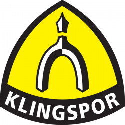Satinierwalze NCW 600 S COMBI 100 Ø100xB100mm 19mm KLINGSPOR Satinierwalze NCW 600 S COMBI 100 Ø100xB100mm 19mm KLINGSPOR