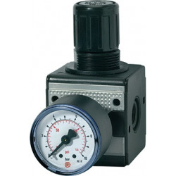 Druckregler MULTIFIX Gew.mm 11,89 BG I G 1 4 Zoll 0,5 10bar 1500l min RIEGLER