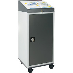 Werkzeugschrankset m.Pultaufsatz H1310xB500xT500mm lichtgrau grau STUMPF Werkzeugschrankset m.Pultaufsatz H1310xB500xT500mm lichtgrau grau STUMPF