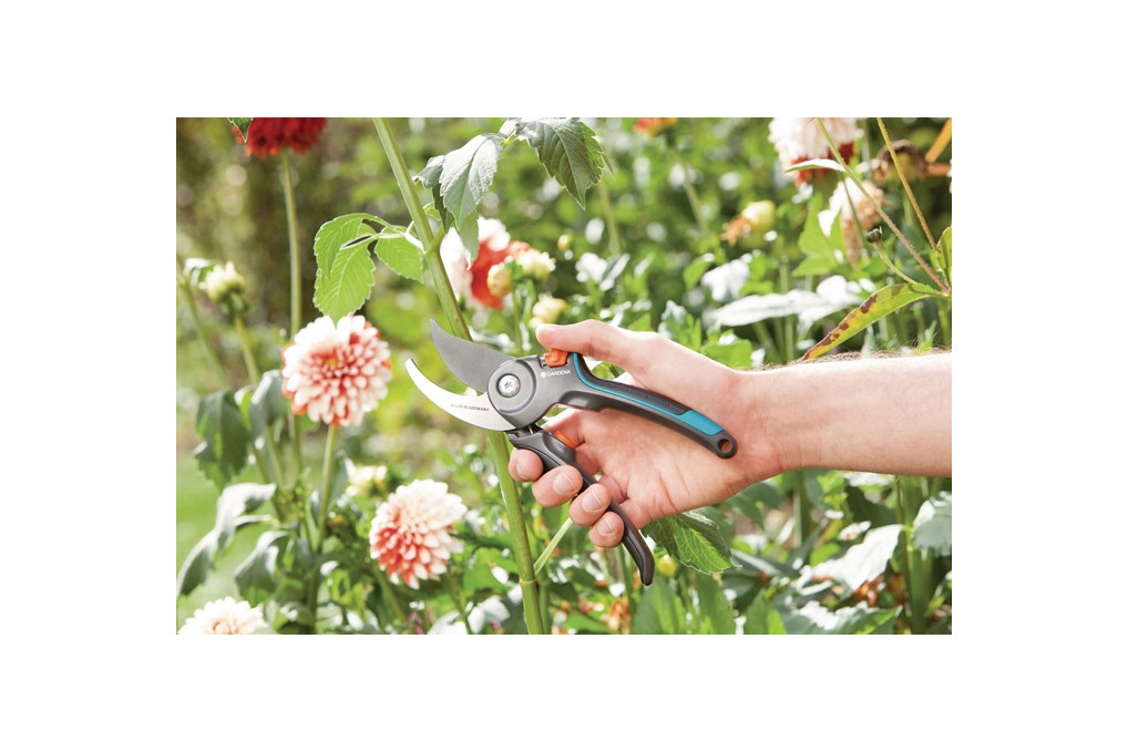 Gartenschere Gesamt L.215mm Schneidleist.24mm Gartenschere Gesamt L.215mm Schneidleist.24mm