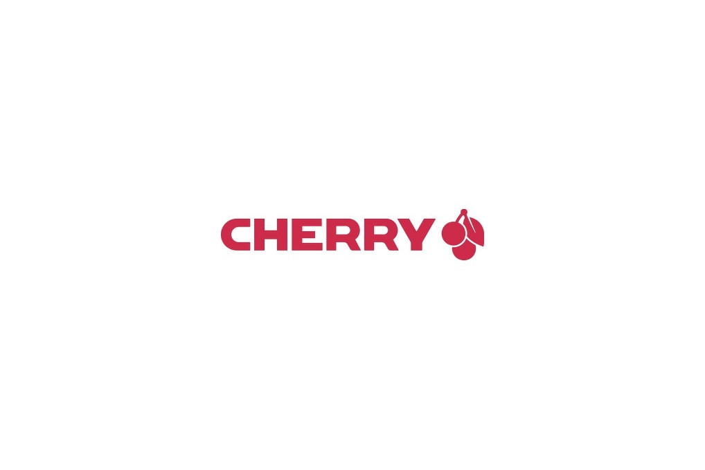 Tastatur CHERRY KC 1000