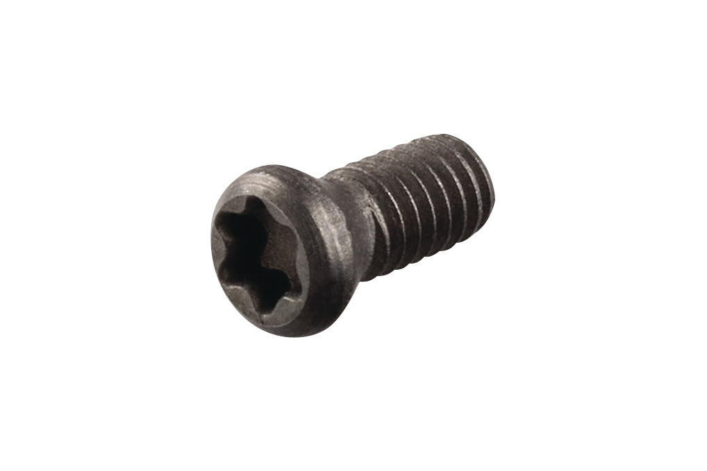 Spannschraube US2506 Gr.T8 TECWERK