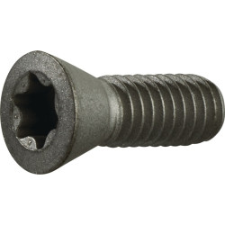 Spannschraube Gr.T20 f.TCMT 16 SCMT 12 z.Fasenfräser TECWERK