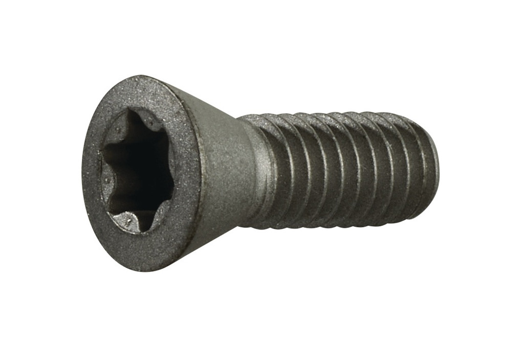Spannschraube Gr.T20 f.TCMT 16 SCMT 12 z.Fasenfräser TECWERK