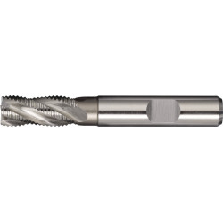 Schaftfräser DIN 844 Typ HR D.20mm Einsatz L.52mm HSS Co5 Weldon TW