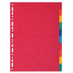 Exacompta Register Nature Future 1410E DIN A4 10teilig blanko farbig