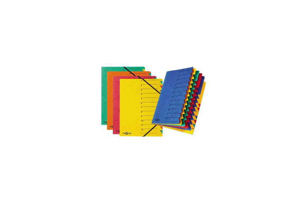 PAGNA Ordnungsmappe EASY 24131 02 DIN A4 12Fächer Pressspan blau PAGNA Ordnungsmappe EASY 24131 02 DIN A4 12Fächer Pressspan blau