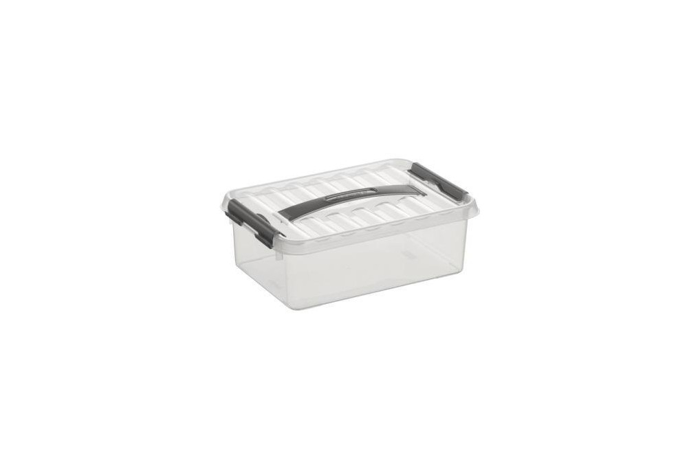 Sunware Aufbewahrungsbox H6160002 4l 300x200x100mm transparent