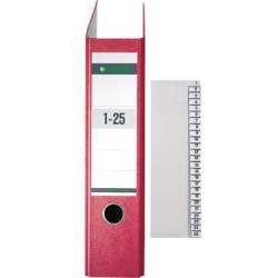 Leitz Registerserie 13810085 1 25 DIN A4 21,2x24cm 25Bl. Papier grau