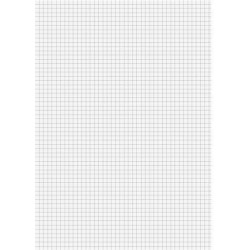 BRUNNEN Briefblock 1052688 DIN A4 100Blatt kariert