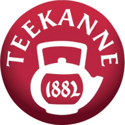 Teekanne Teebar 1677 für 4Teepackungen Stahl