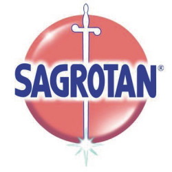 Sagrotan Desinfektionsmittel 301597 Pumpflasche 250ml Fl