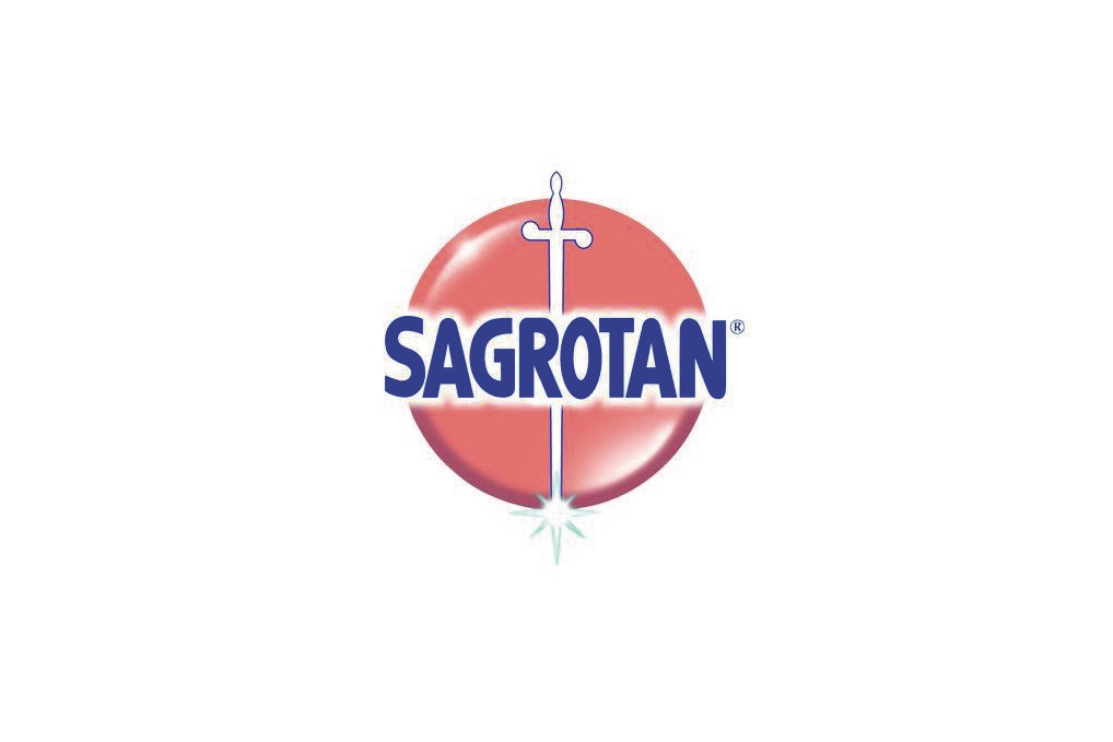 Sagrotan Desinfektionsmittel 301597 Pumpflasche 250ml Fl