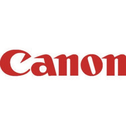Canon Tintenpatrone 2891C001 PFI 320C 300ml cyan