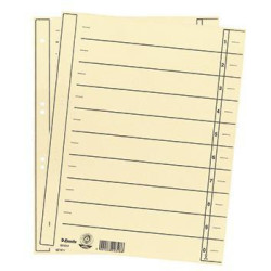 Esselte Trennblatt 621017 DIN A4 24x30cm 10 20Taben ch 100 St. Pa