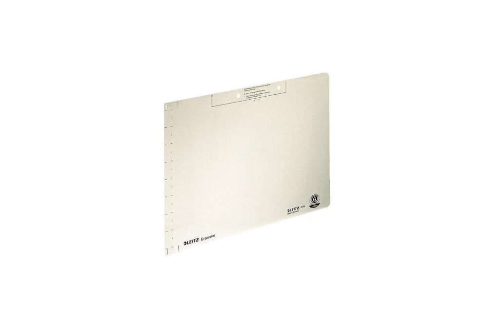Leitz Einlegeblatt OC 21780011 chamois 100 St. Pack.