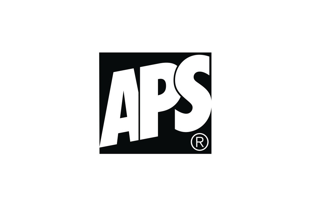 APS Pumpkanne Budget 10915 2,2l 17Tassen Edelstahl Kunststoff