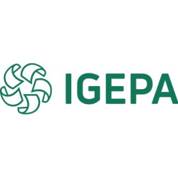 Igepa Kopierpapier New Future 9538A80S DIN A4 80g 500 Bl. Pack.