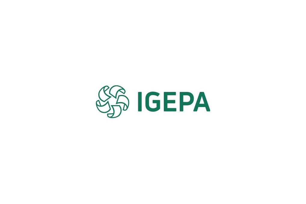 Igepa Kopierpapier New Future 9538A80S DIN A4 80g 500 Bl. Pack.