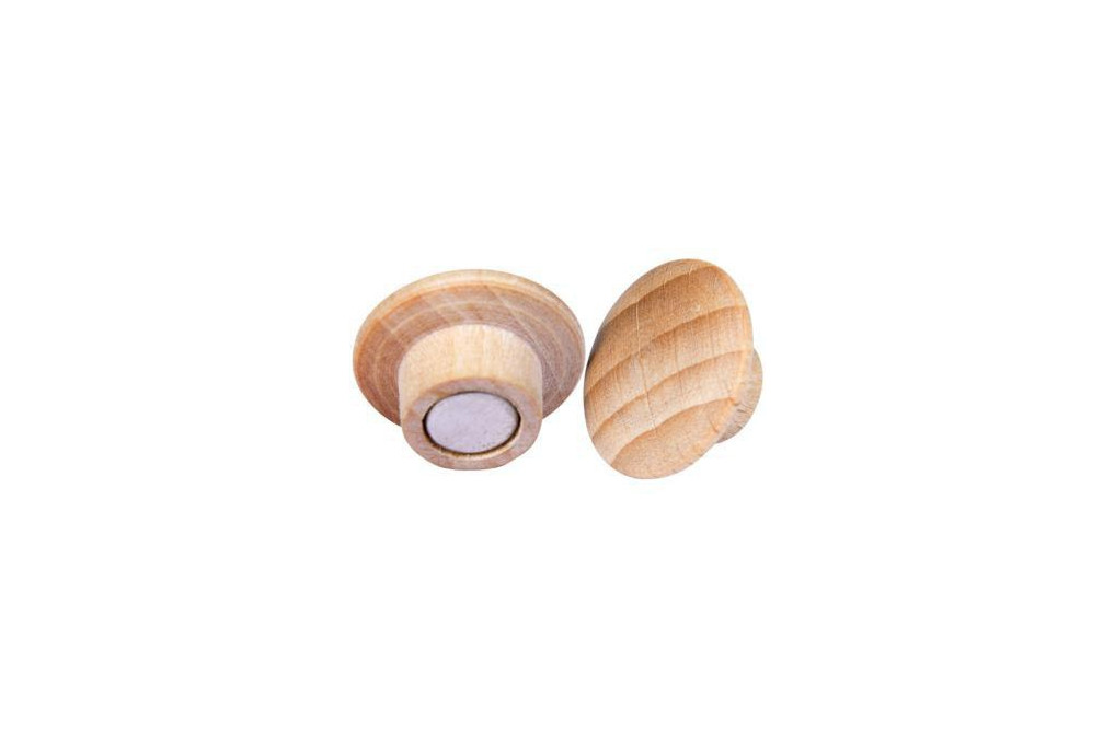 Legamaster Magnet WOODEN 7 181725 25m Holz 5St. Legamaster Magnet WOODEN 7 181725 25m Holz 5St.