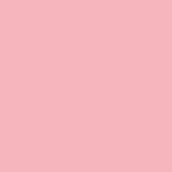 HEYDA Fotokarton 204716222 50x70cm 300 g rosa 25 St. Pack. HEYDA Fotokarton 204716222 50x70cm 300 g rosa 25 St. Pack.
