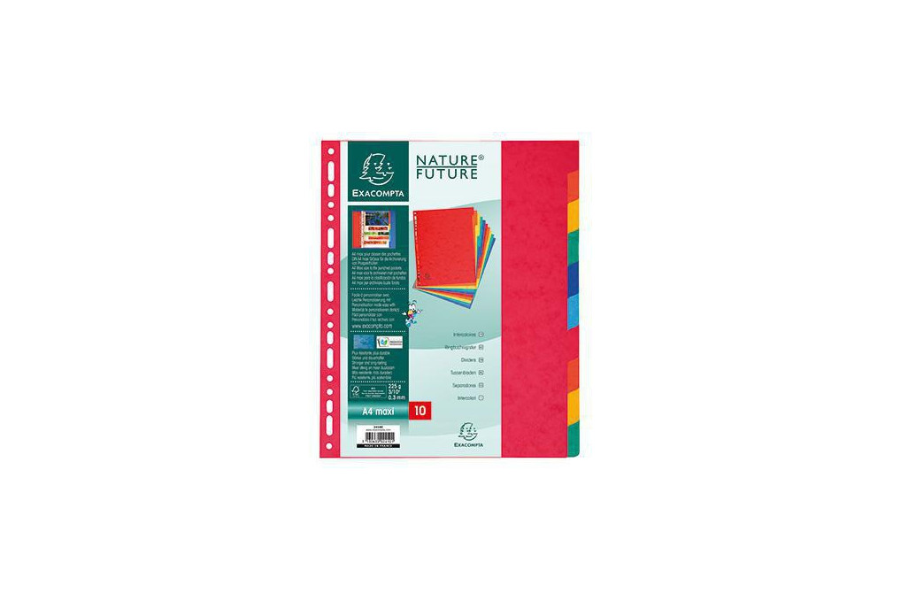 Exacompta Register XXL 2410E DIN A4 Manila Karton 225g 10 tlg farbig
