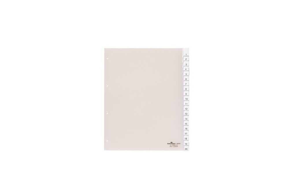 DURABLE Register 683319 245x297cm 20teilig Hartfolie tr
