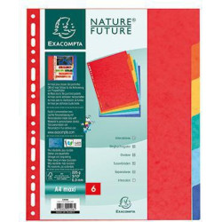 Exacompta Register XXL 2406E DIN A4 Manila Karton 225g 6 tlg farbig