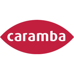 Graffitientferner 400ml Spraydose CARAMBA