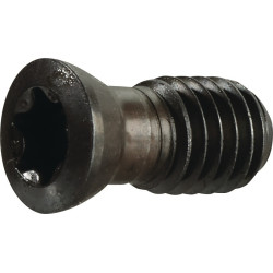 Spannschraube US 4511 Gr.T20 f.SEKT SEET 1204 z.Planfräser TECWERK