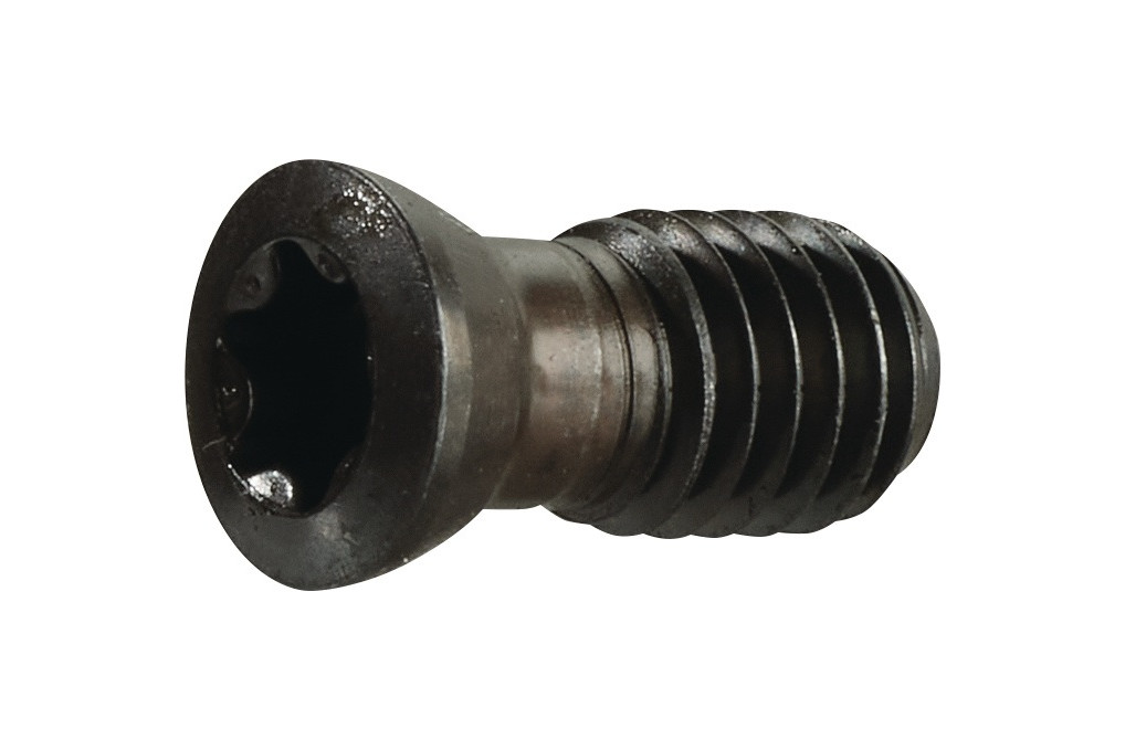 Spannschraube US 4511 Gr.T20 f.SEKT SEET 1204 z.Planfräser TECWERK Spannschraube US 4511 Gr.T20 f.SEKT SEET 1204 z.Planfräser TECWERK