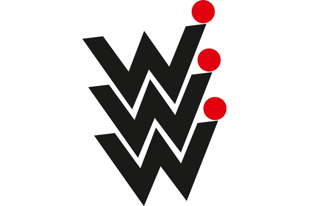 Gravierstichel Pro D D.10mm VHM Gesamt L.75mm WERNER WILKE