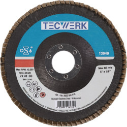 Fächerscheibe D.115mm K.60 kon.INOX ZK TECWERK