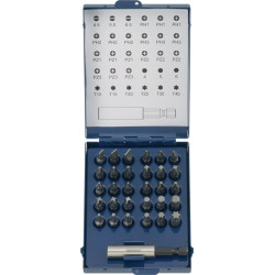 Bitsortiment 31 tlg.Schlitz PH PZD TX m.Magnet u.Spreng Ri TECWERK