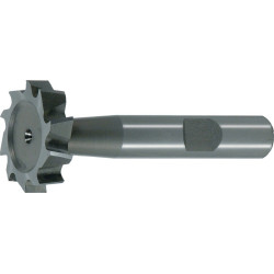 Schlitzfräser DIN 850D TypN D.16,5mm HSS Co Z.8 L.4mm MAYKESTAG