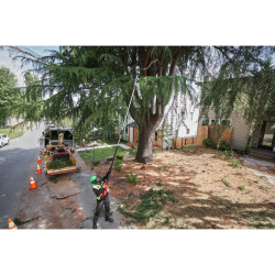 Akku Hochentaster M18 FTPS30-121 Milwaukee