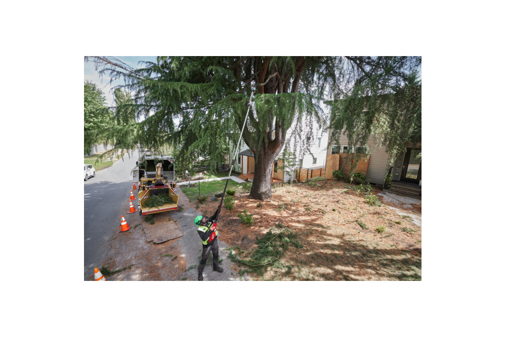 Akku Hochentaster M18 FTPS30-121 Milwaukee