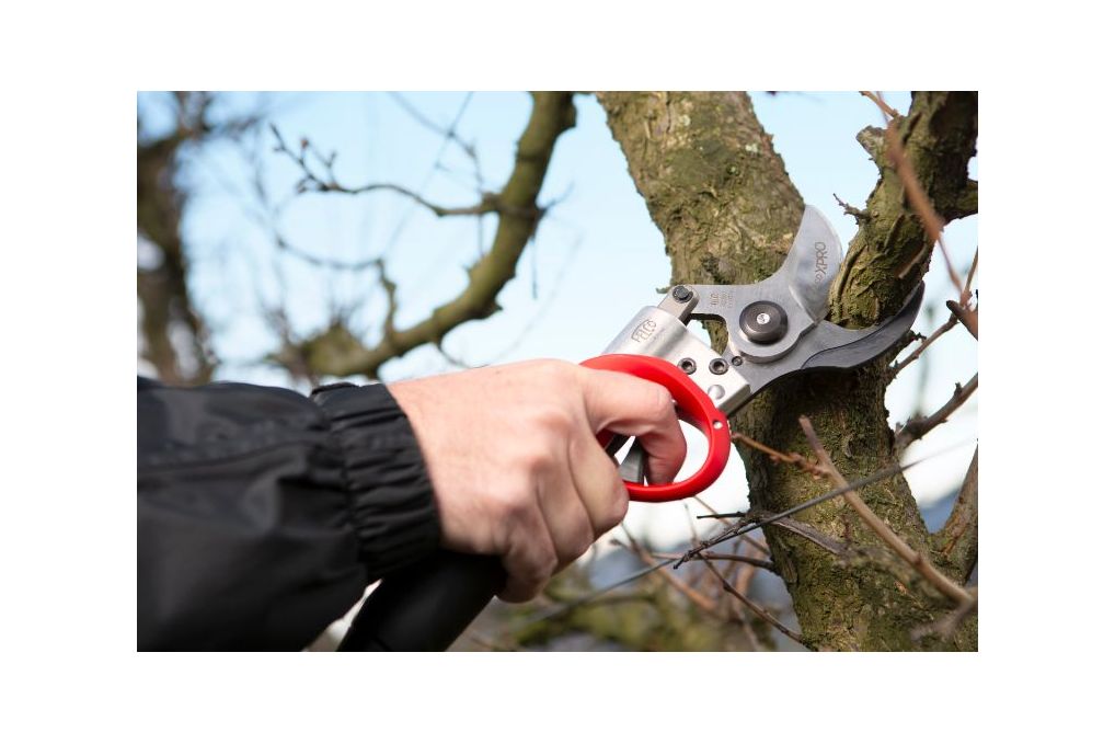 Akku Gartenschere FELCO 822 KIT mit Batterie 880