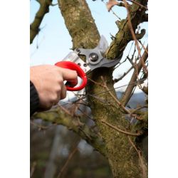 Akku Gartenschere FELCO 822 KIT mit Batterie 880