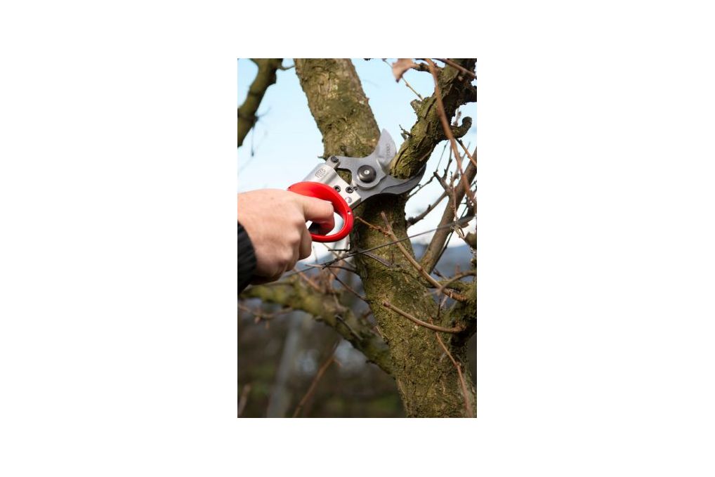 Akku Gartenschere FELCO 822 KIT mit Batterie 880